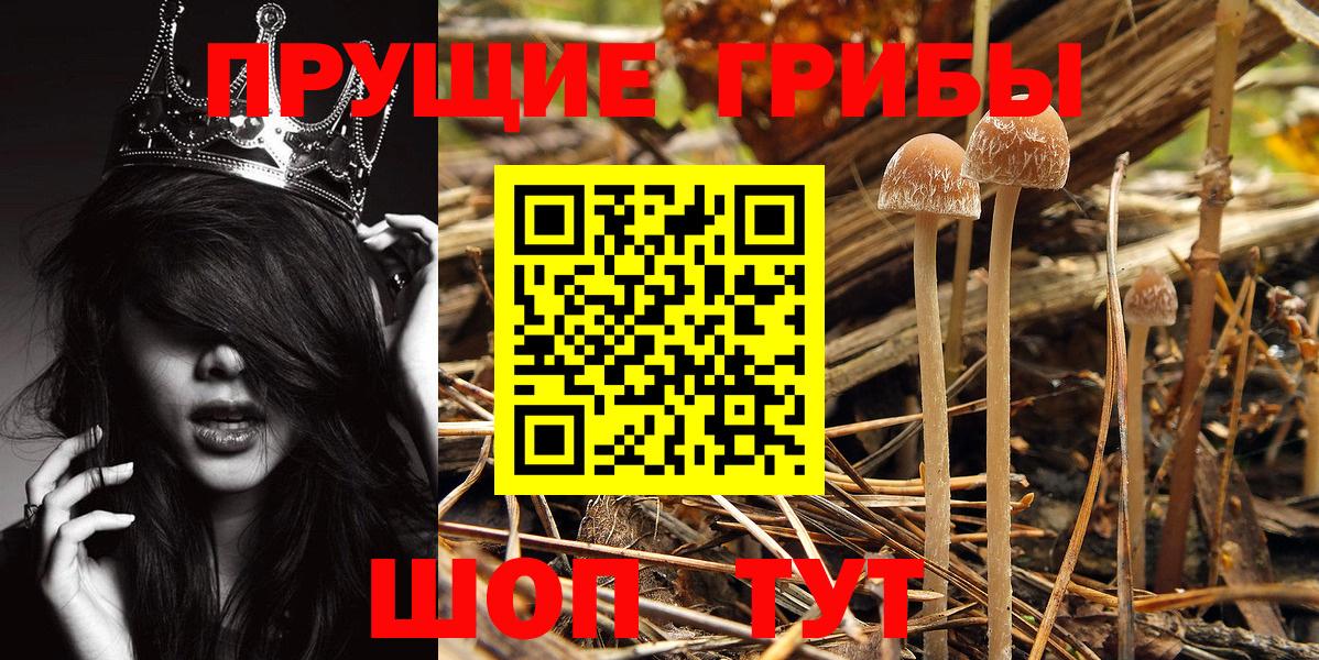 Галлюциногенные грибы Magic Shrooms  Вход с VPN  Северобайкальск  Галлюциногенные грибы MAGIC MUSHROOMS 
