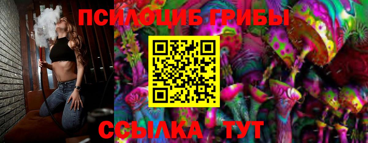 Псилоцибиновые грибы мицелий Северобайкальск